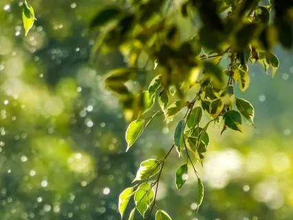 Lying Down Meditation To Ease Menstrual Pain