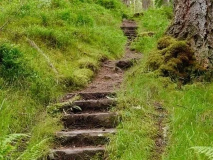 Lying Down Mindful Movement