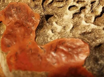 Lying Down Yoga Sequence