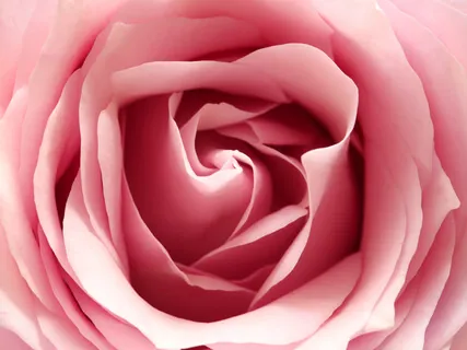 Lying Pelvic Floor Relaxation 