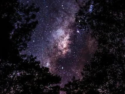 Lyran Starseed Yoga Nidra | The Ancient Lions