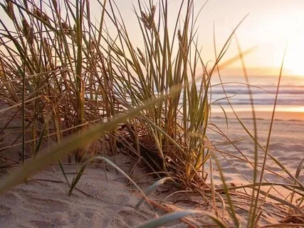 Lyric Pieces, Book I, Op. 12: No. 1, Arietta (Grieg)