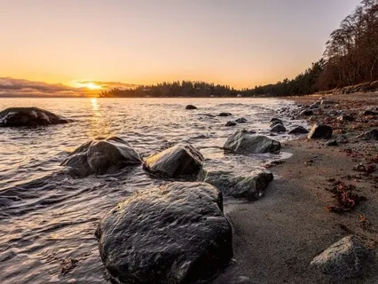 Lyric Pieces, Book II, Op. 38: No 3, Melody  (Grieg)