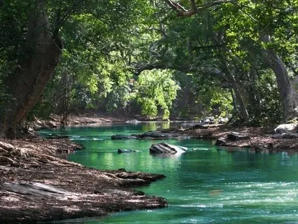 Lyric Pieces, Book IX, Op. 68: No. 3, At Your Feet (Grieg)