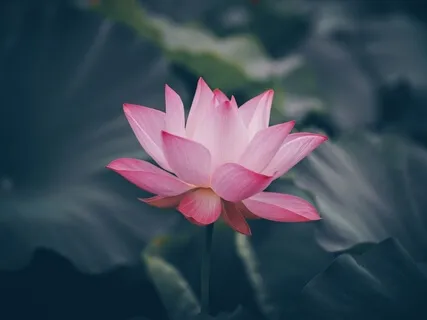 מ.א.ה - מיני מדיטציה