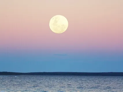 MA 04L Meditation On True Relaxation (Live)