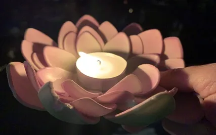 MA 12L Accumulating Inner Peace For Resilience In Life (Live)