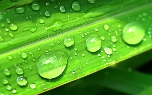 MA 13 Unburdening The Mind From Stress & Depression