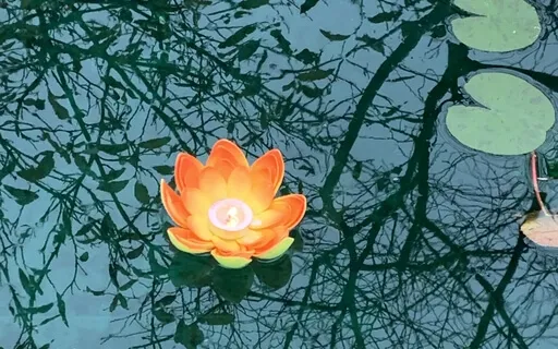 MA 15 Consciousness Beyond Thoughts In The Mind