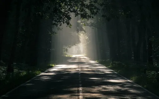 MA 17 Featherlight Touch Of Mind & US-Style Loving Kindness