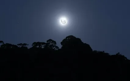 MA 19 Relocating Our Faculties To The Center Of The Body