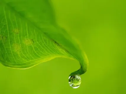 MA 21 Meditative Reflection On Impermanence