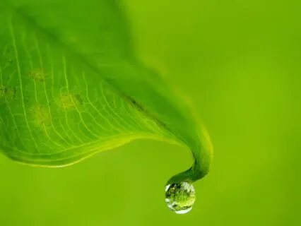 MA 21L Meditative Reflection On Impermanence (Live)