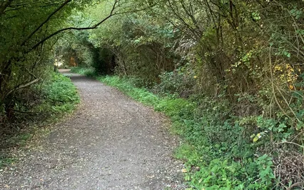 MA 24 Feeling The Connection At The Center