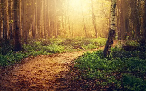 MA 32L The Shared Spiritual Path