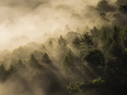 MA 39 Peace Energy Paves The Way To Transcendental Progress