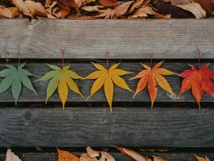 MA 56 The Five Stages Of Loving-Kindness