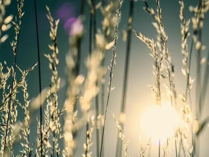 MA 62 The Power Of Kindness