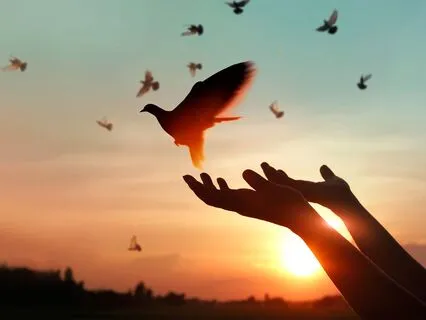 MA 67 Inner Imagery To Die For