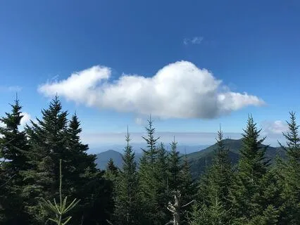 Ma - The Loving Embrace Of The Mother