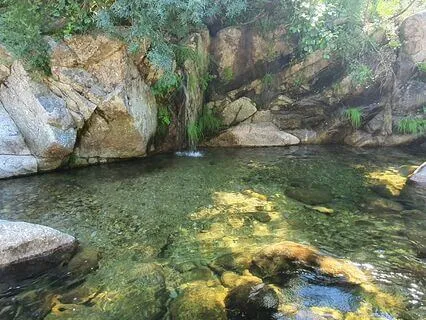 Mother Earth Heals Me