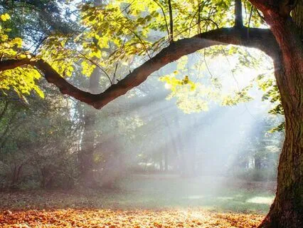 Mabon Autumn Equinox With Archangel Jeremiel