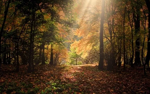 Mabon Guided Meditation