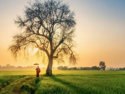 Magdalene Energy Transmission Track, 741 Hz