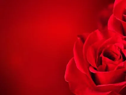 Magdalene Rose Lineage New Year Frequency Upgrade