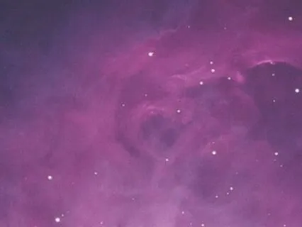 Magenta Star Of Compassion