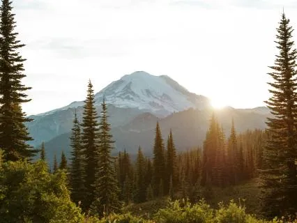 Magic Fills Your Next Chapter