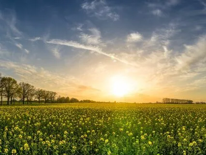 Magic In Crescendo: 432Hz Music