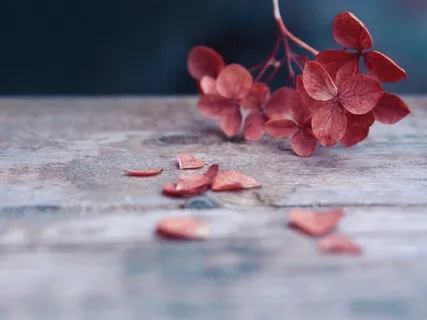 Magic In The Everyday