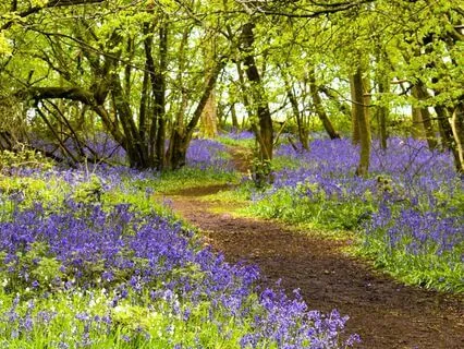 Magic In Transformation : Energy Forecast : May 2025