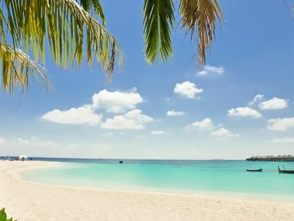 Magic Lagoon Imagery Meditation