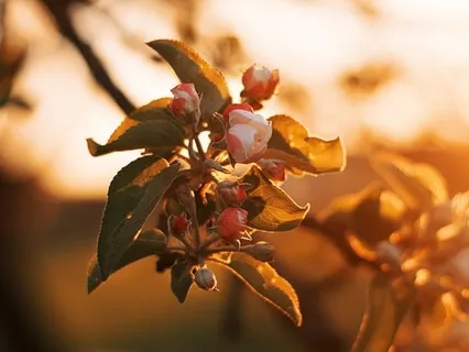 Magic - A Practice To Re-Balance Chakras