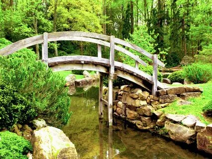 Magic Of The Heart-Zen Garden