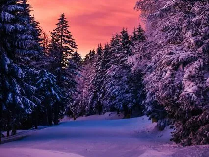 Magic On The Horizon