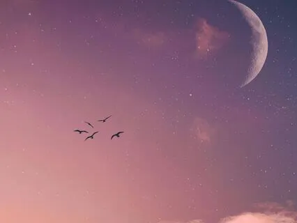 Magic Reflections Forever