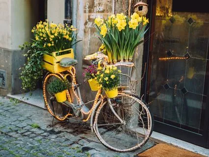 Magical Bicycle Ride