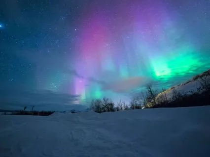 Magical Christmas Train: Dreamy Journey To Sleep