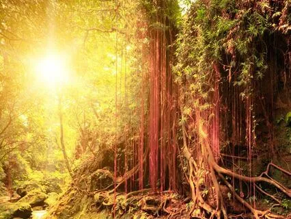 Magical Creatures In Baltic Mythology