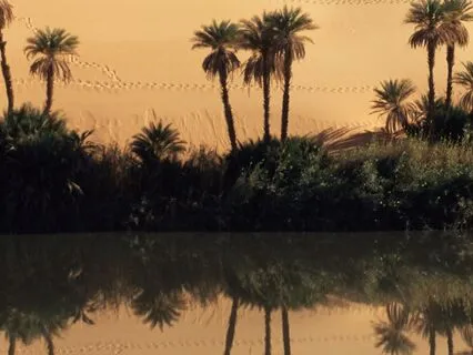 Magical Desert Oasis Path To Another World