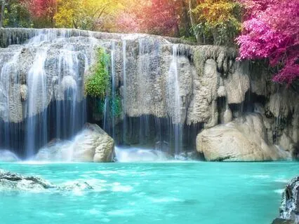 "MAGICAL EXPRESSION TO CREATE ABUNDANCE"