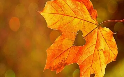 Magical Fall Meditation