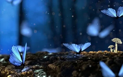 Magical Forest Of Manifestation Portal • Sleep Meditation