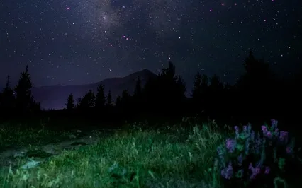 Magical Forest ~ Guided Sleep Meditation