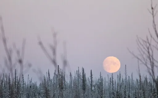 Magical Frosty Full Moon Meditation - Bright Crisp Uplifting