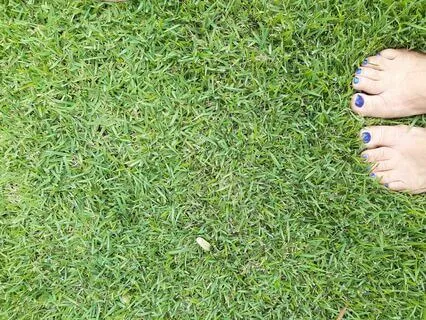 Magical Green Grass Meditation