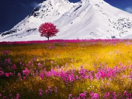 Magical Healing Meadow Guided Meditation